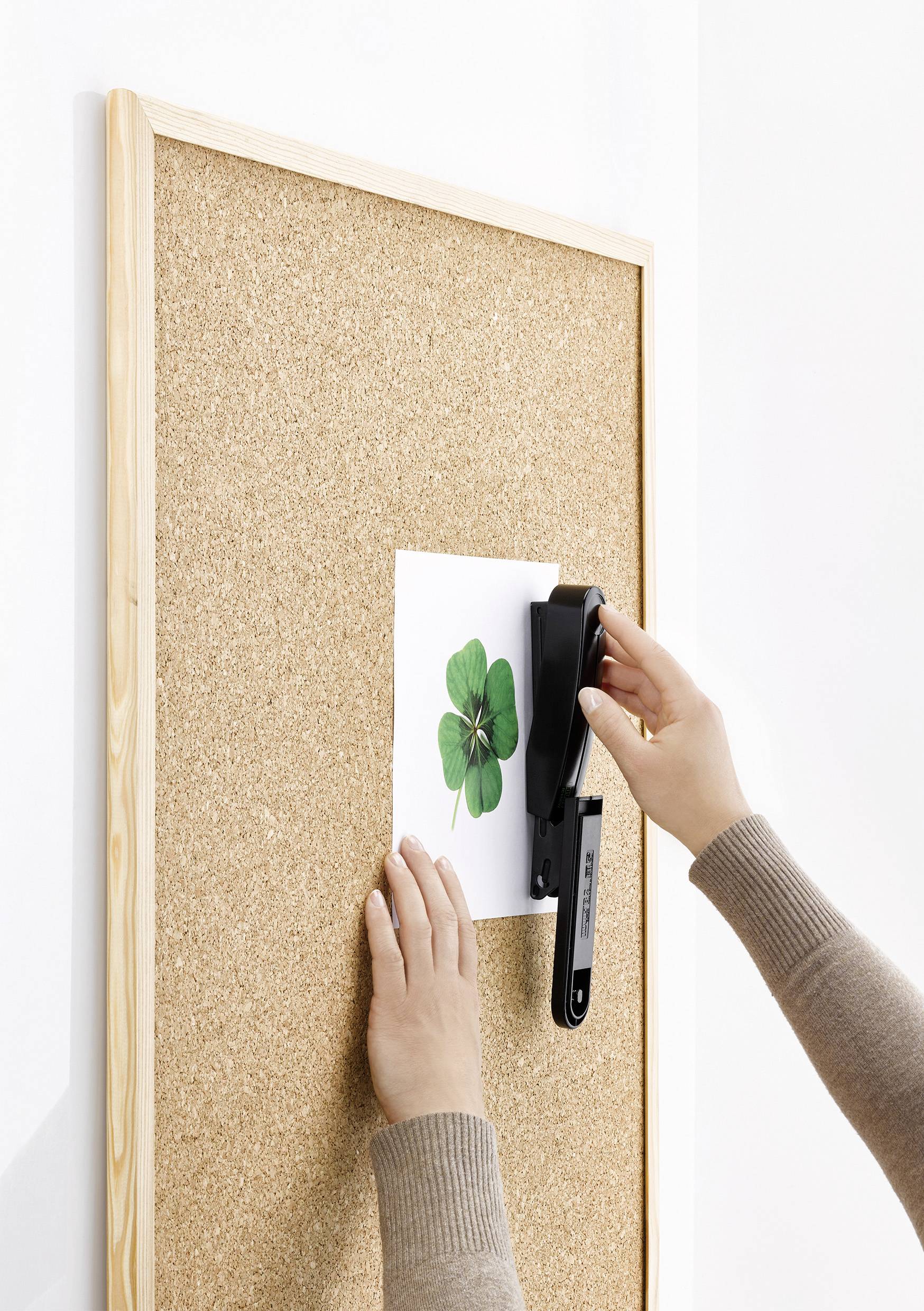 Eine Person heftet ein Bild mit einem vierblättrigen Kleeblatt an eine Korktafel.