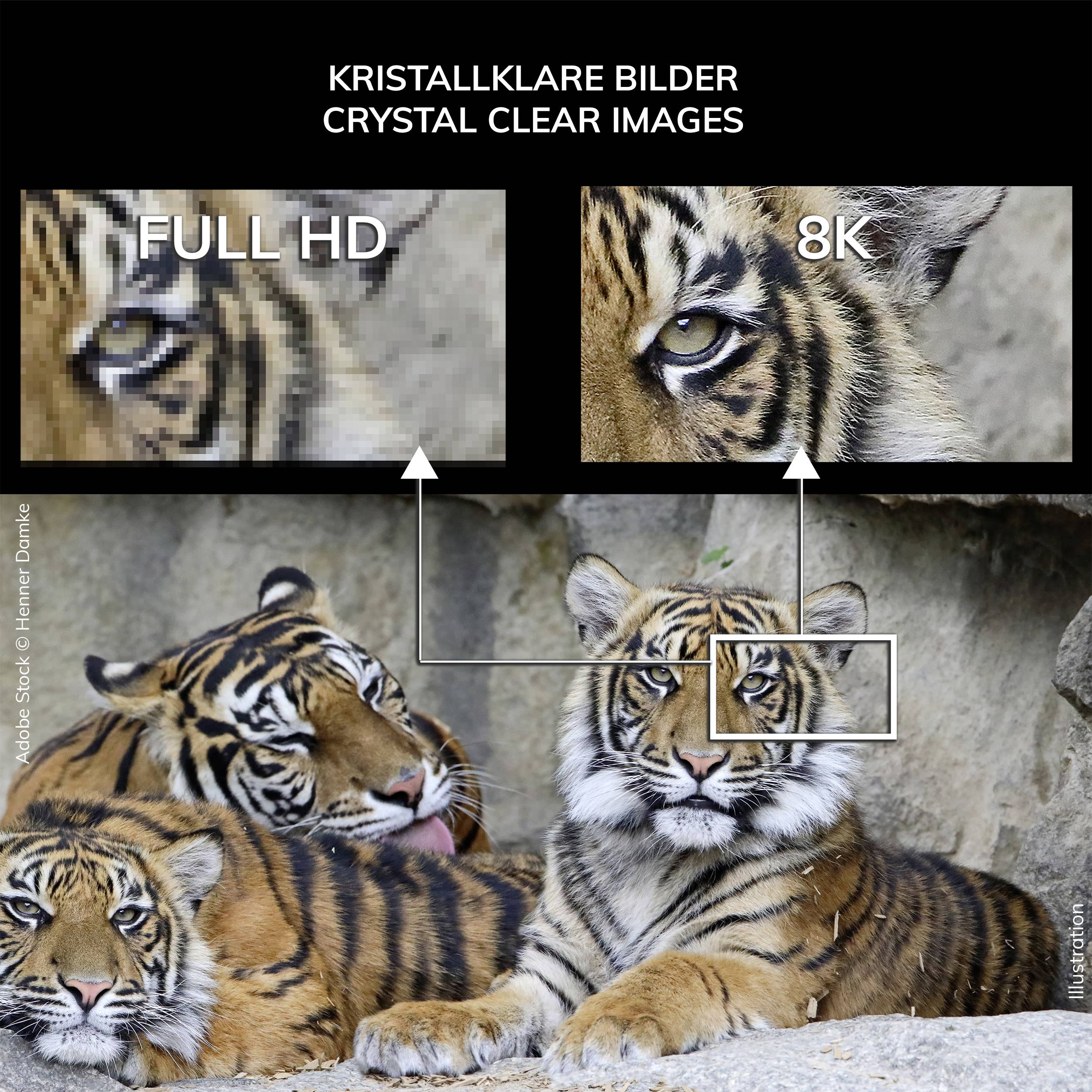 Oehlbach HDMI Anschlusskabel HDMI-A Stecker, HDMI-A Stecker 5.00m Schwarz D1C92496 8K UHD, vergoldete Steckkontakte HDMI-Kabel