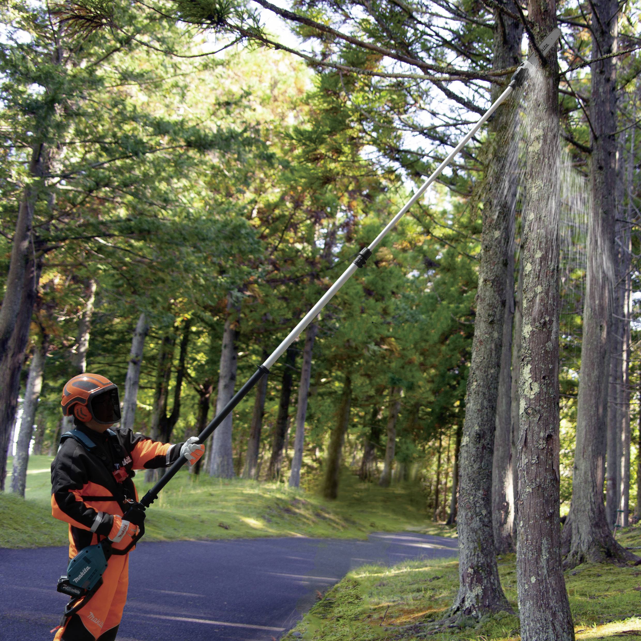 Ein Arbeiter in Schutzkleidung schneidet mit einer Teleskop-Astsäge Äste von einem Baum in einem Waldgebiet.