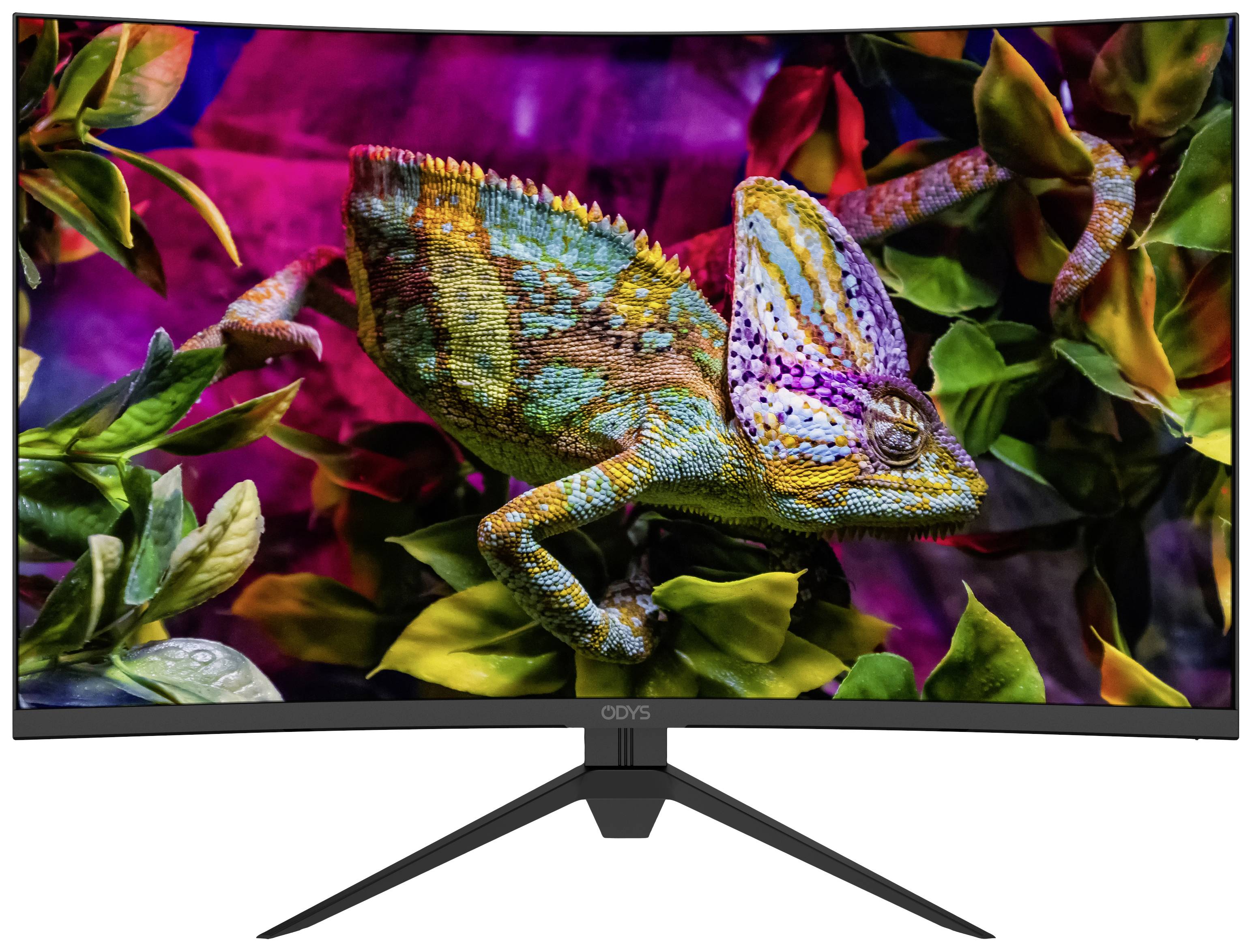 Odys XP32 PRO curved Gaming Monitor EEK G (A - G) 81.3cm (32 Zoll) 2560 x 1440 Pixel 16:9 HDMI®, DisplayPort, USB, Kopfhörer