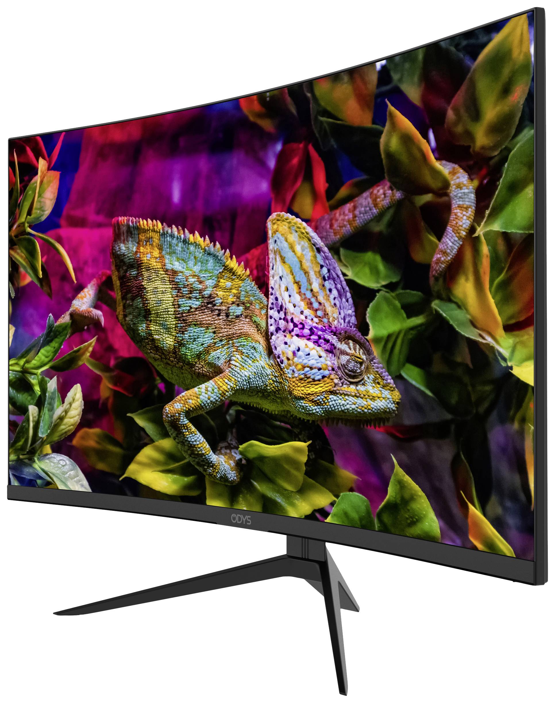 Odys XP32 PRO curved Gaming Monitor EEK G (A - G) 81.3cm (32 Zoll) 2560 x 1440 Pixel 16:9 HDMI®, DisplayPort, USB, Kopfhörer