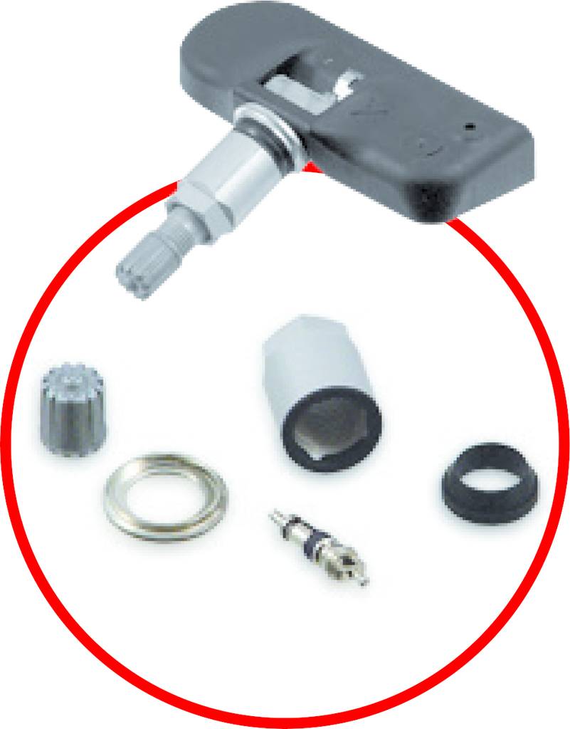 Ein Reifendruckkontrollsensor mit zerlegten Einzelteilen: Gehäuse, Ventil, Mutter, Dichtung, Unterlegscheibe und Ventileinsatz.