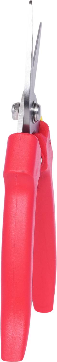 Rote Gartenschere mit silbernen Klingen, geschlossen.