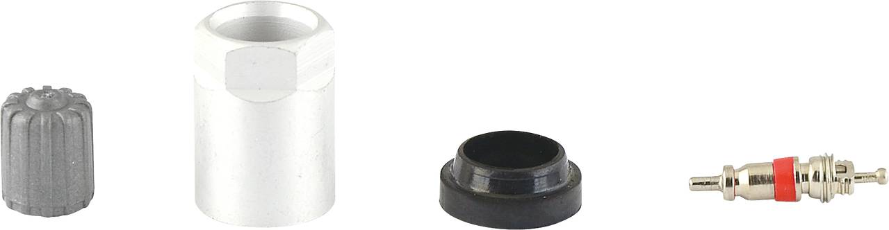 Vier Ventilteile: eine graue Kappe, ein weißes Metallrohr, ein schwarzer Gummiring und ein kleiner Metallstift mit rotem Ring.