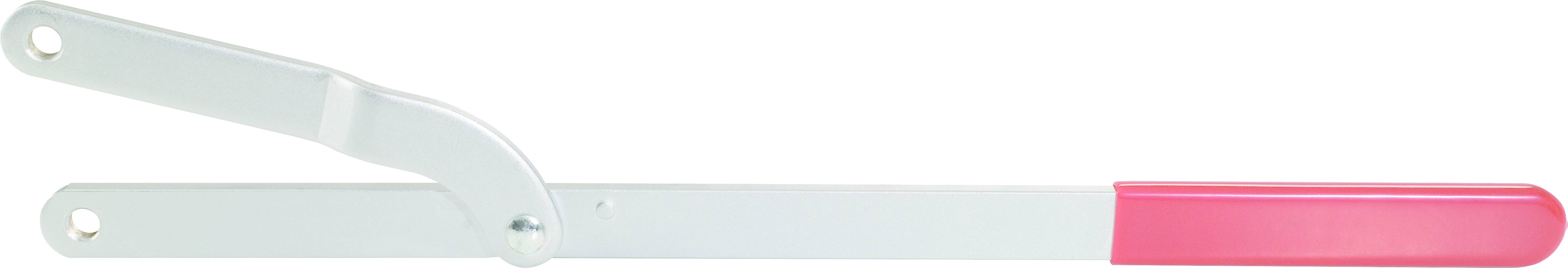 Hebelverschluss mit grauem Metallarm und rotem Kunststoffgriff. Eignet sich zum Verschließen von Behältern oder Maschinen.
