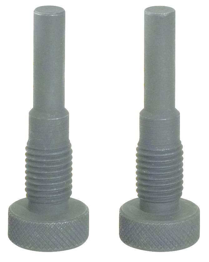 Zwei identische, dunkelgraue Schraubbolzen mit gerändeltem Kopf und langer Gewindestange, stehend nebeneinander.