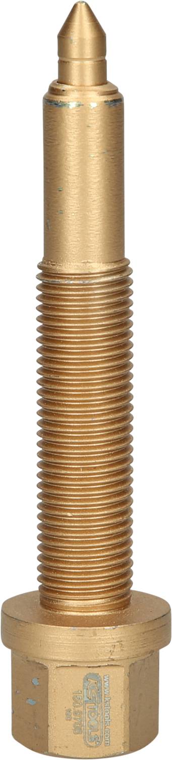 Langer, messingfarbener Schraubzapfen mit spitzem Ende und Gewinde, vermutlich für technische oder mechanische Anwendungen.