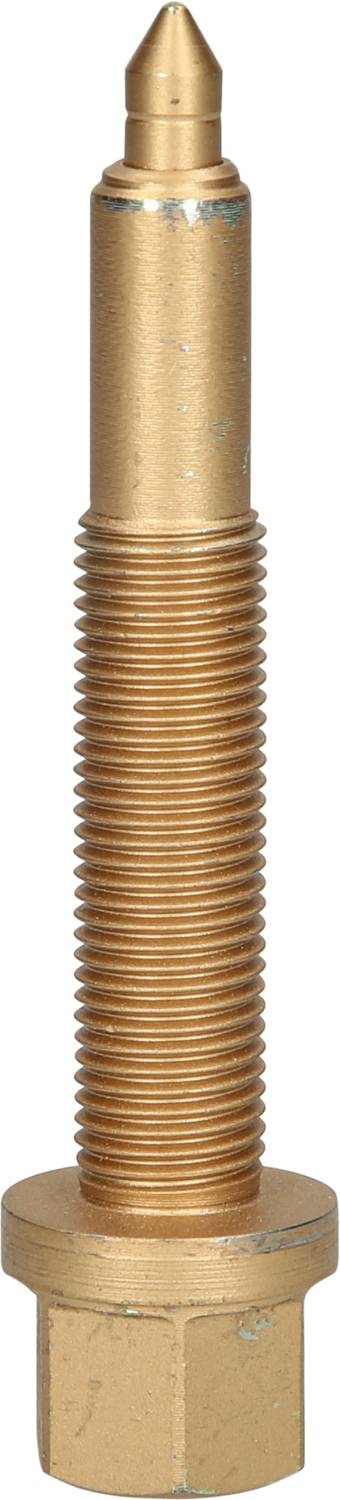 Messingfarbene Schraube mit spitzer Spitze und Gewinde.