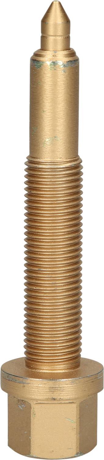 Länglicher, goldfarbener, metallischer Bolzen mit spitzem Ende und Gewinde, aufrecht stehend, vor neutralem Hintergrund.