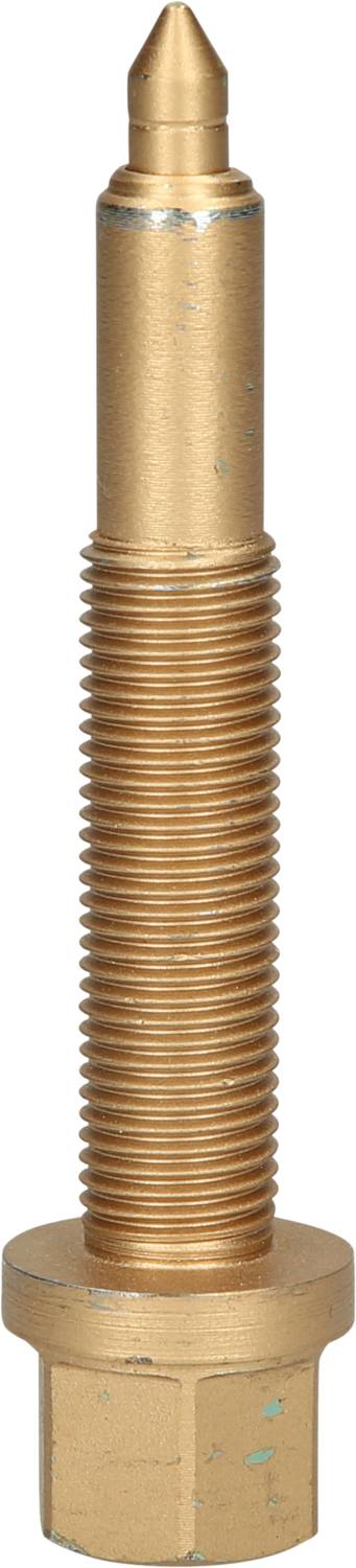 Ein goldfarbener, zylindrischer Stehbolzen mit Gewinden und einer spitzen Spitze, die aus einem sechseckigen Sockel herausragt.