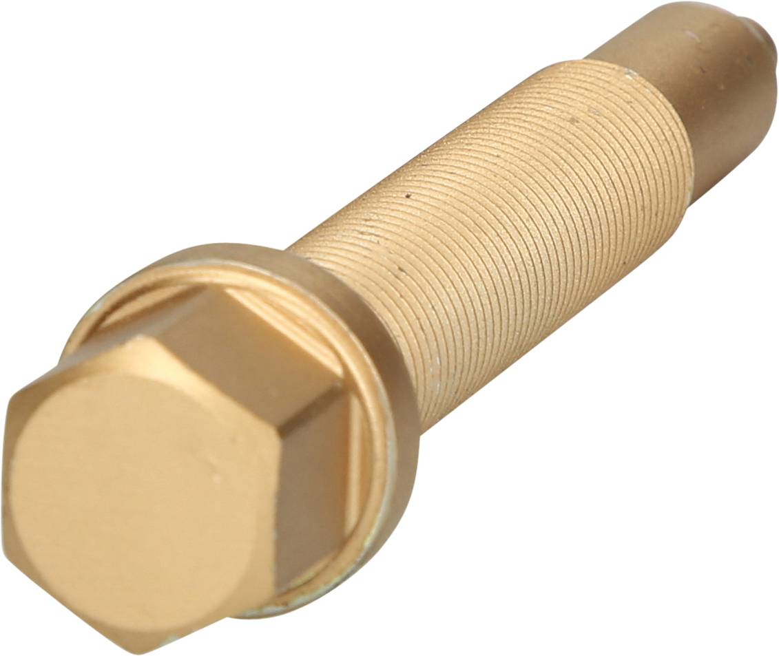 Schraube mit sechseckigem Kopf, aus Messing, auf weißem Hintergrund.