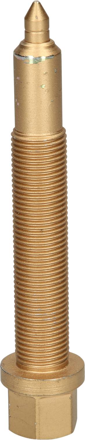 Messingfarbige Metallschraube mit Gewinde, spitz zulaufendem Ende und Sechskantfuß für technische Anwendungen.