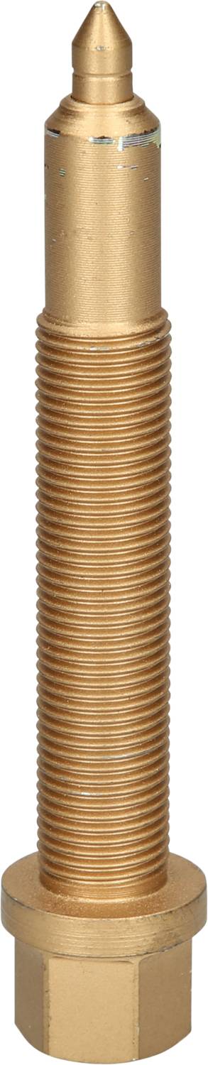 Goldene metallische Schraube mit Spitzenende, gleichmäßigem Gewinde und sechseckigem Sockel, vertikal auf weißem Hintergrund.