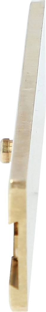 Eine goldene, rechteckige Metallplatte mit einer kleinen Schraube an der Seite, seitlich dargestellt.