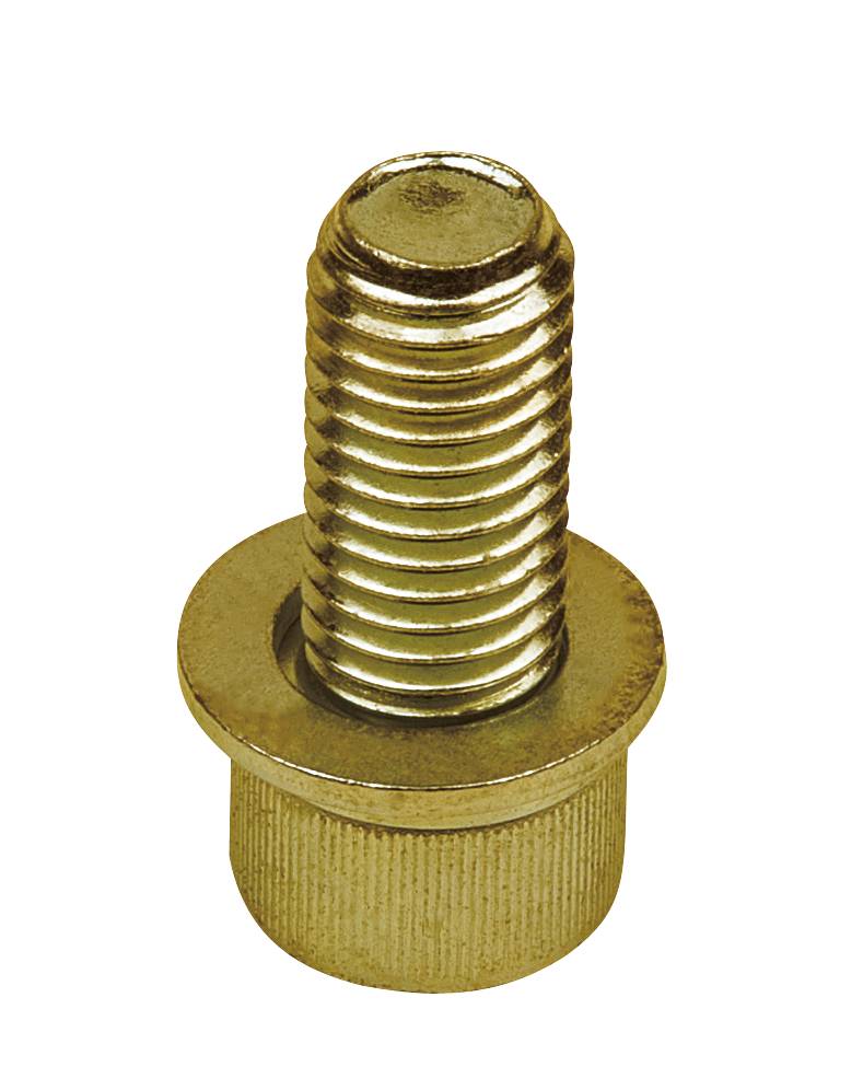 Ein goldfarbener Bolzen mit Gewinde und runder Basis, vertikal positioniert auf weißem Hintergrund, wird gezeigt.