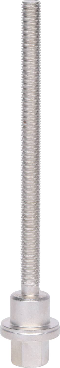 Langer, silberner Bolzen mit Gewinde und sechseckiger Mutter an der Basis.
