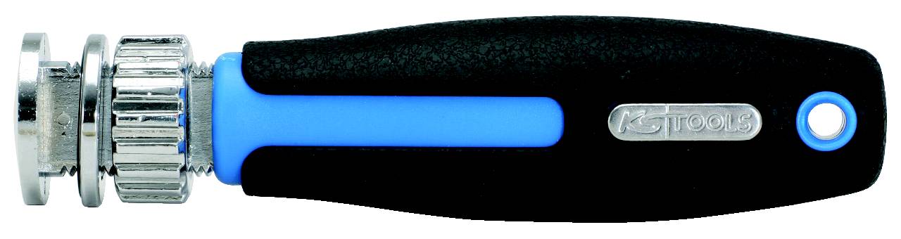 Schraubendreher mit schwarzem Griff und blauer Linie, silbernes Metallende, geeignet für spezielle Schraubverschlüsse.