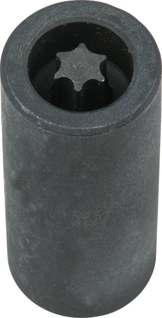 Ein schwarzer, zylindrischer Adapter mit einem sternförmigen Innenprofil zum Anziehen oder Lösen von Schrauben mit entsprechendem Kopf.