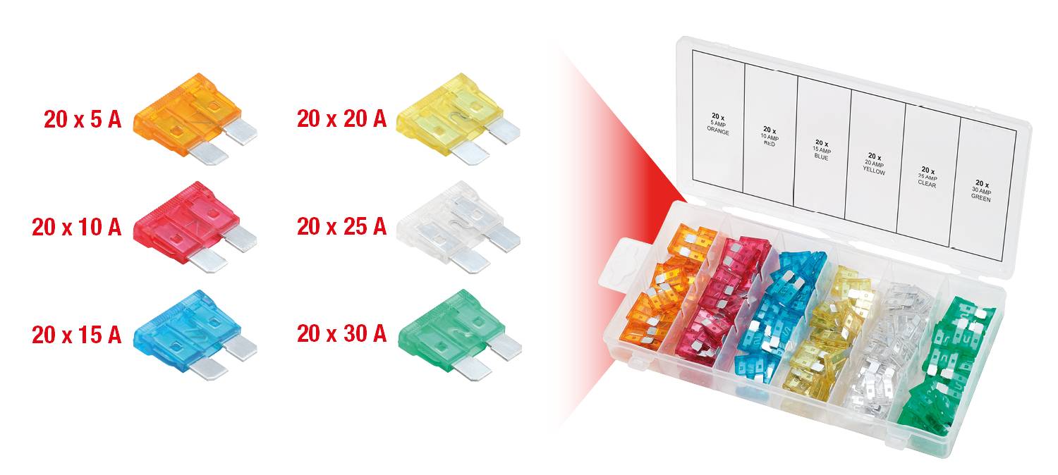 Eine Box mit sechs Fächern, gefüllt mit verschiedenfarbigen Flachsicherungen: Orange 5 A, Gelb 20 A, Rot 10 A, Blau 15 A, Weiß 25 A, Grün 30 A.