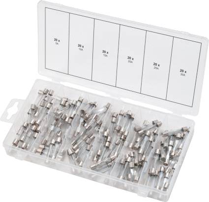 Plastikbox mit verschiedenen Flachsicherungen in unterschiedlichen Ampere-Werten, beschriftet mit '5A' bis '30A'.