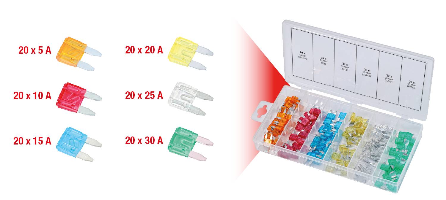 Ein Set mit verschiedenen farbigen Kfz-Sicherungen in einem durchsichtigen Organizer. Jede Farbe steht für eine andere Amperezahl: 5 A (gelb), 10 A (rot), 15 A (blau), 20 A (gelb), 25 A (weiß), 30 A (grün).