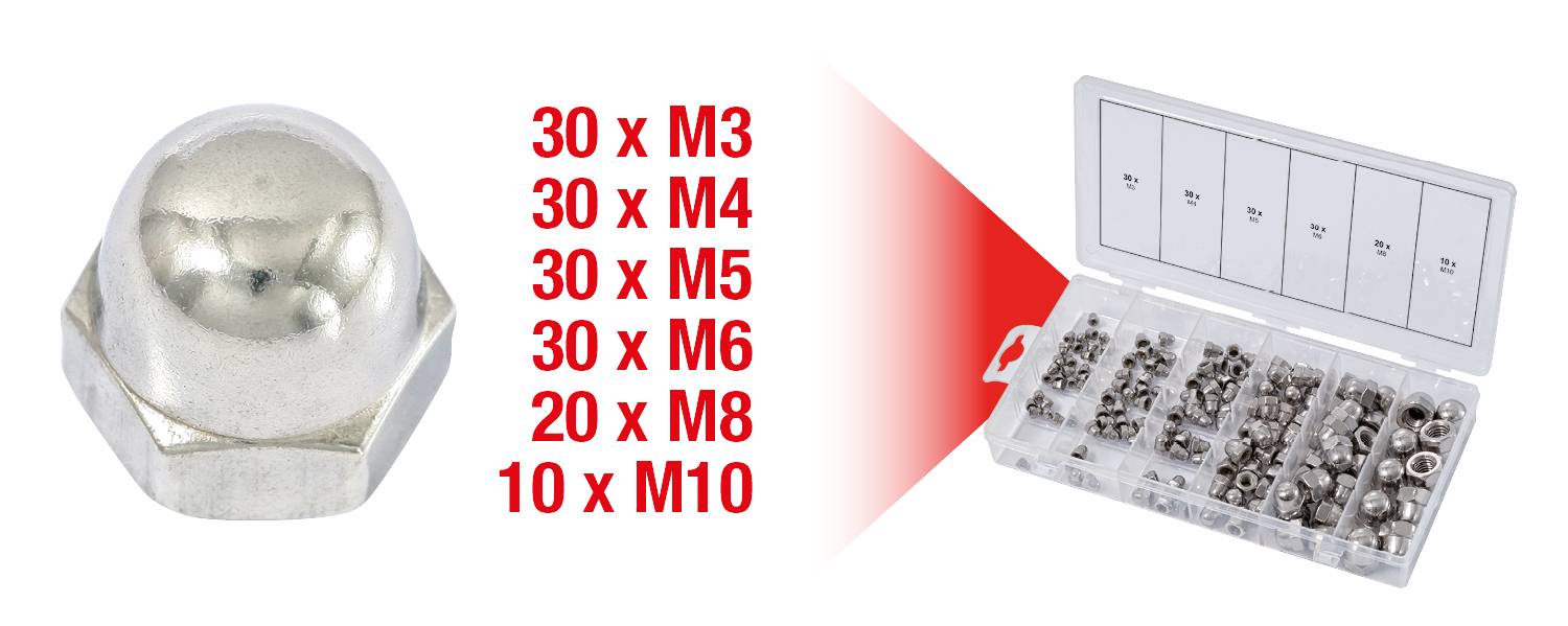 Sortimentskasten mit Sechskantmuttern: 30x M3, 30x M4, 30x M5, 30x M6, 20x M8, 10x M10.