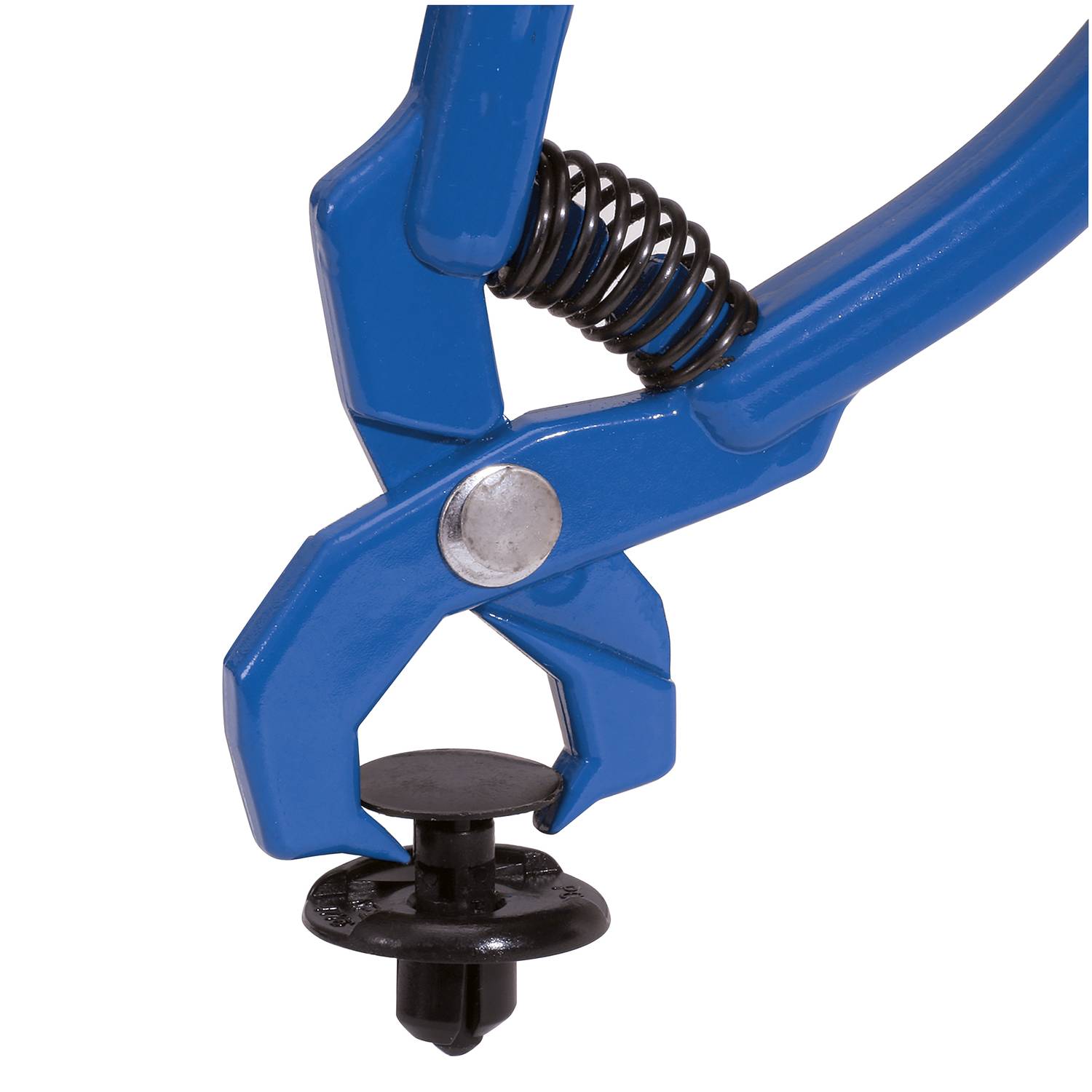 Brilliant Tools BT511015 Zierleistenkeile-Polster-Satz, 6-tlg