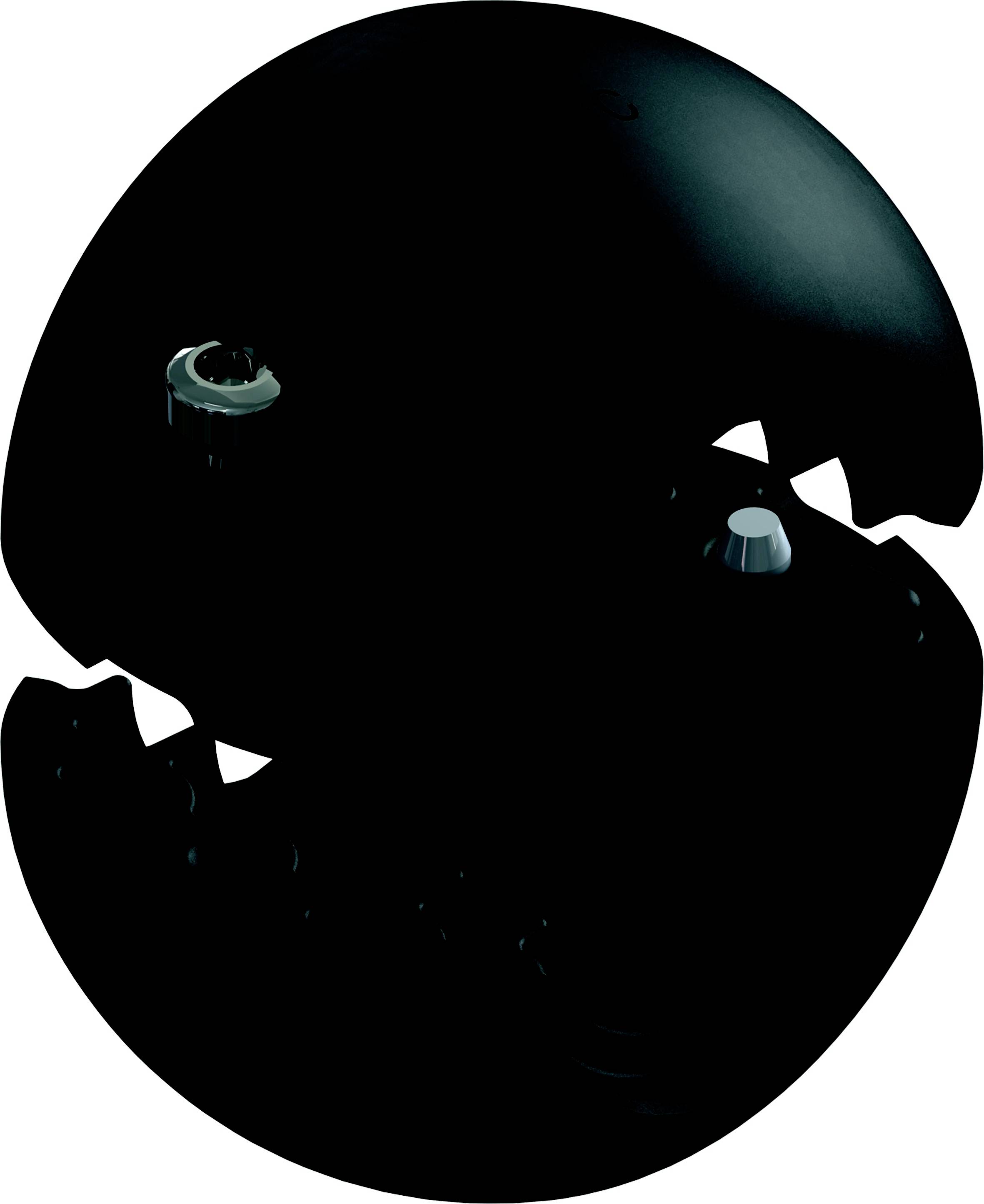 Ein stilisiertes, schwarzes 3D-Objekt, das wie ein geöffnetes Ei aussieht und Zahnstrukturen besitzt.