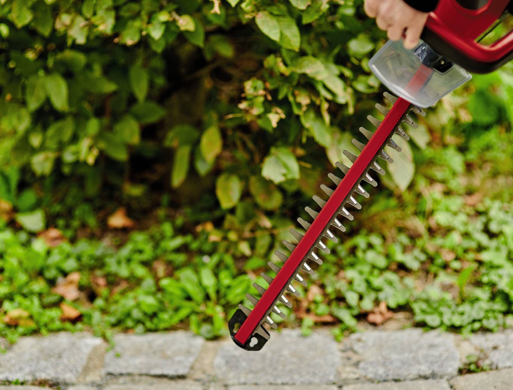 Einhell GC-CH 18/50 Li-Solo Power X-Change Akku Heckenschere ohne Akku, ohne Ladegerät, Softgriff Li-Ion 550mm