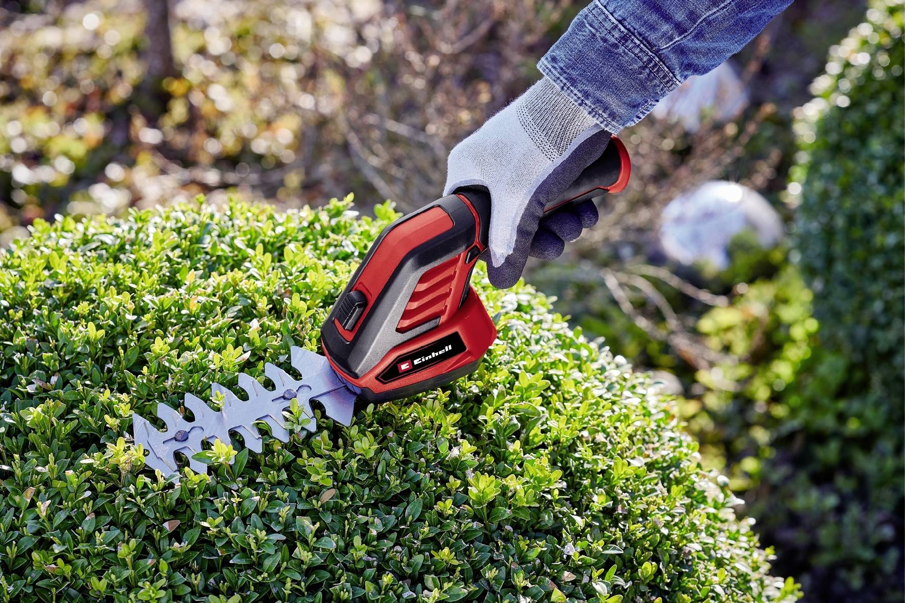 Eine Person schneidet mit einer roten elektrischen Heckenschere einen grünen Busch. Die Hand trägt einen Gartenhandschuh aus Stoff.