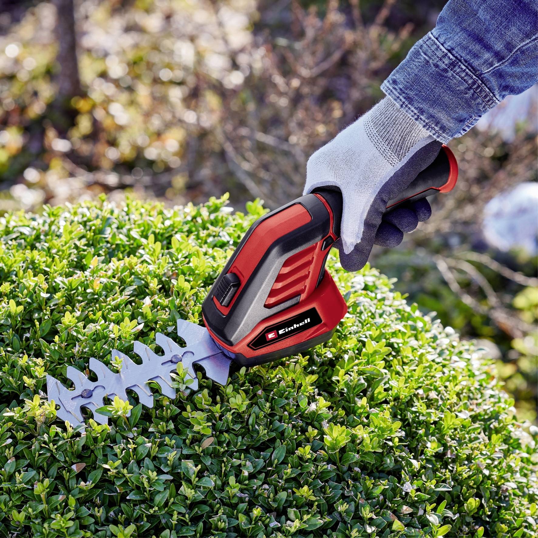 Eine Person stutzt eine Hecke mit einer elektrischen Heckenschere. Die Schere ist rot-schwarz, und die Person trägt Arbeitshandschuhe.
