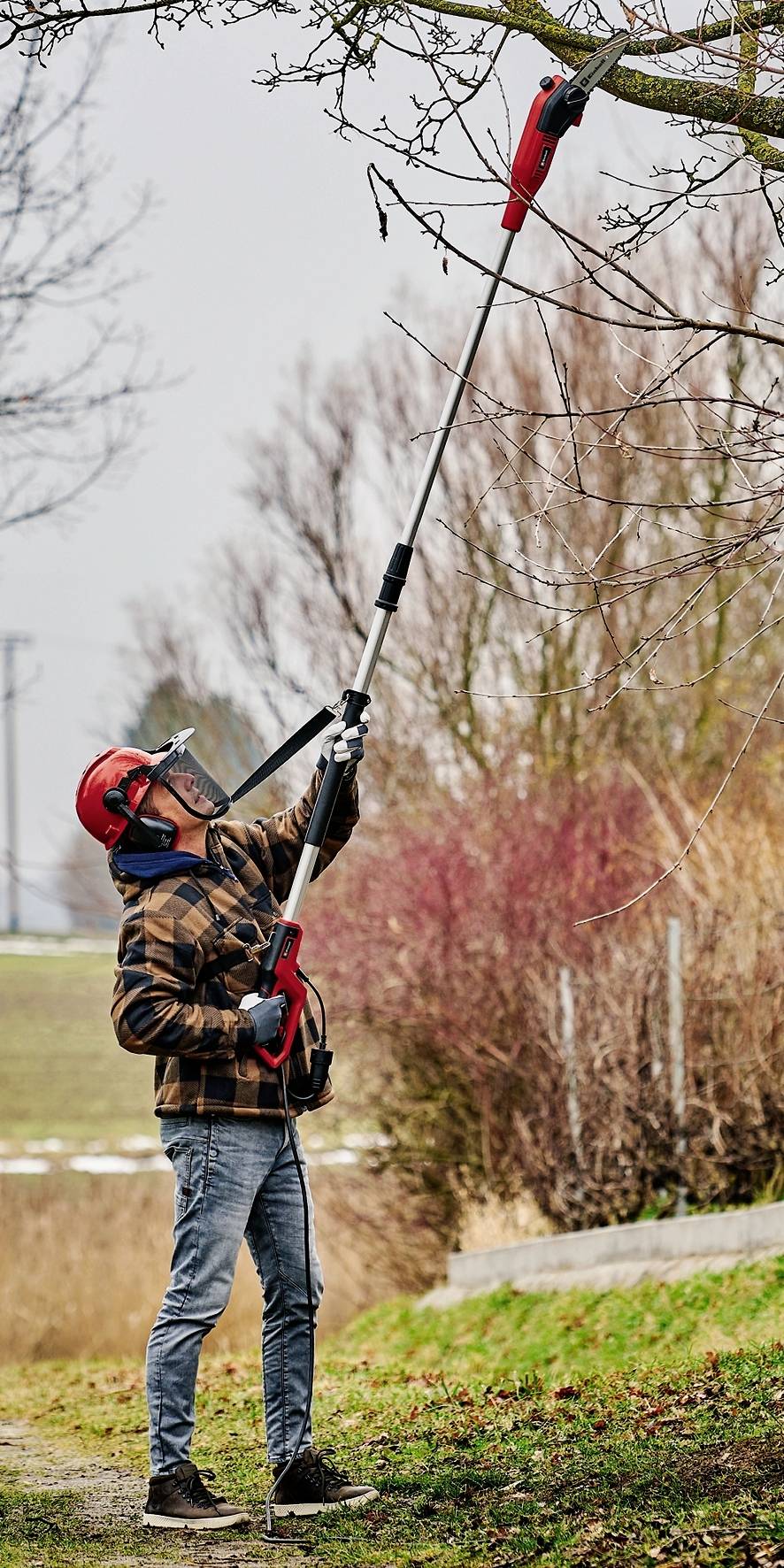 Ein Mann schneidet mit einer elektrischen Astsäge Äste von einem Baum. Er trägt Schutzkleidung und ein rotes Schutzhelm.