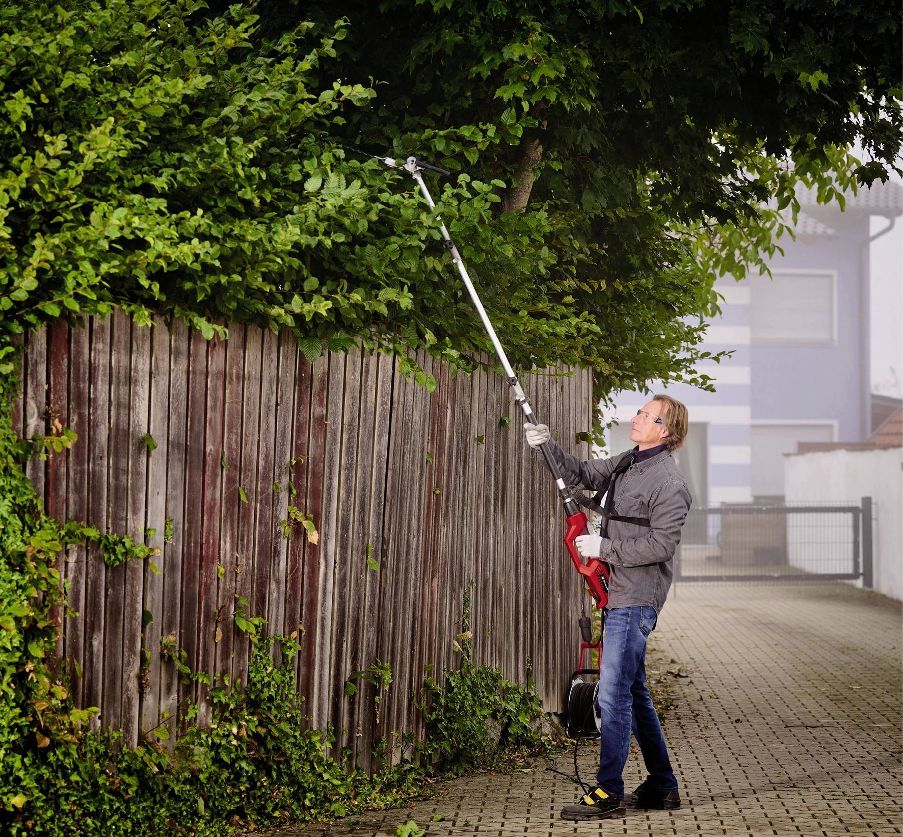 Eine Person schneidet mit einer elektrischen Heckenschere Äste von hohen Sträuchern entlang eines Holzzauns auf einer gepflasterten Fläche.