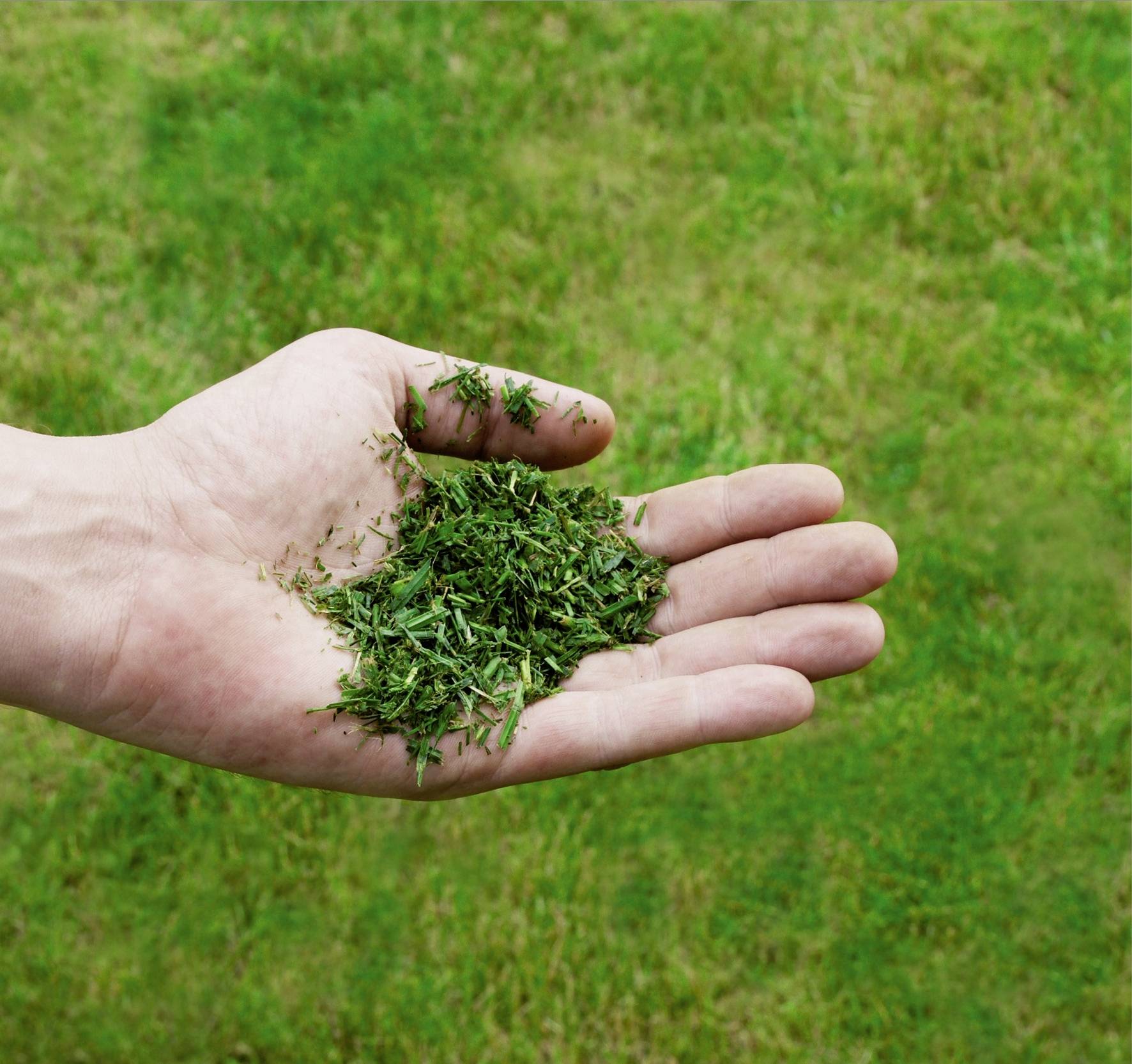 Einhell GC-PM 51/3 S HW-E Benzin Rasenmäher Höhenverstellbarer Griff 2700W Schnittbreite (max.) 51cm Geeignet für 1800m²