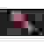 DELTACO GAMING RGB Single 1fach Monitor-Tischhalterung 43,2 cm (17") - 81,3 cm (32") Schwarz Neigba
