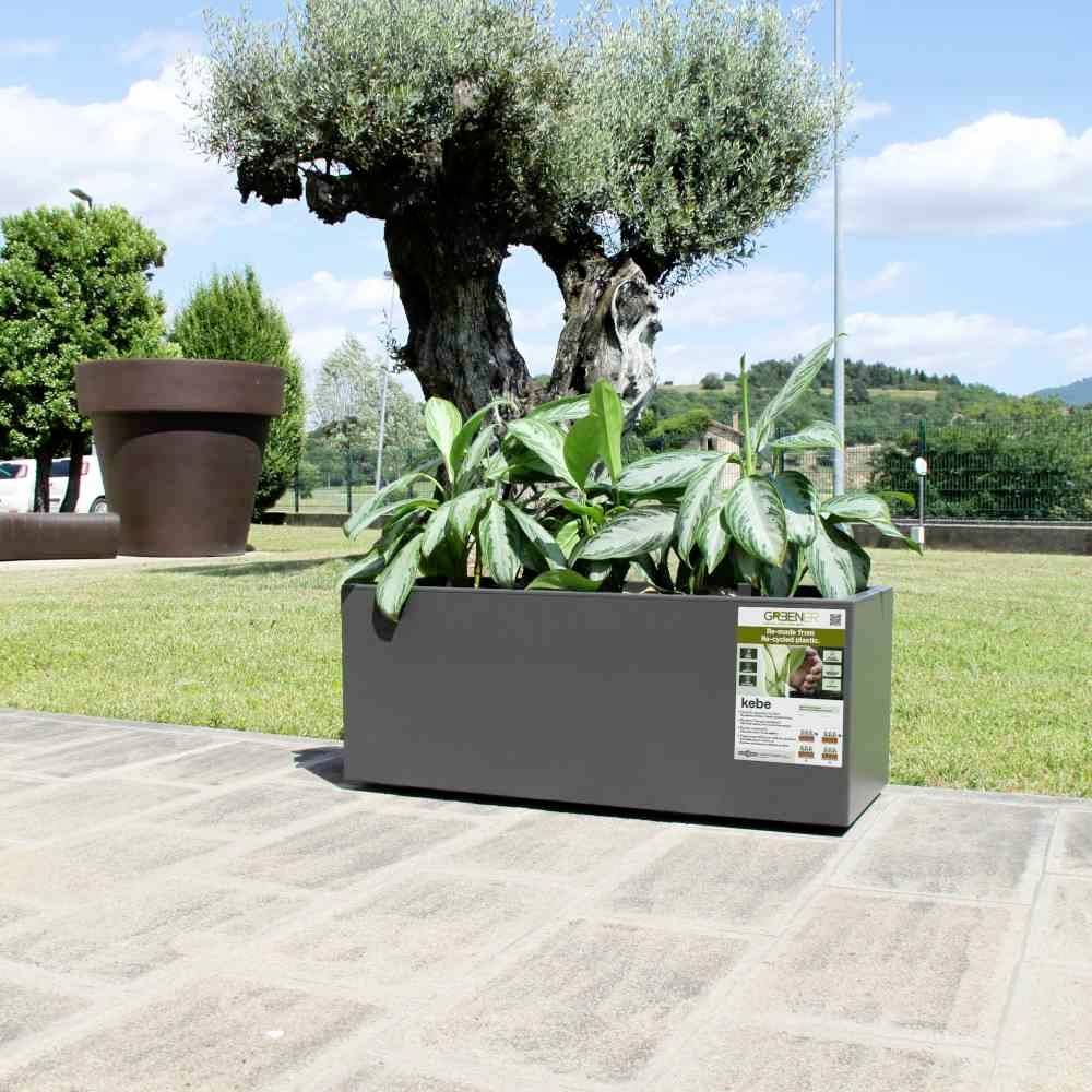 Euro3plast Greener KEBE 3154.62Pflanzkasten Kunststoff Anthrazit