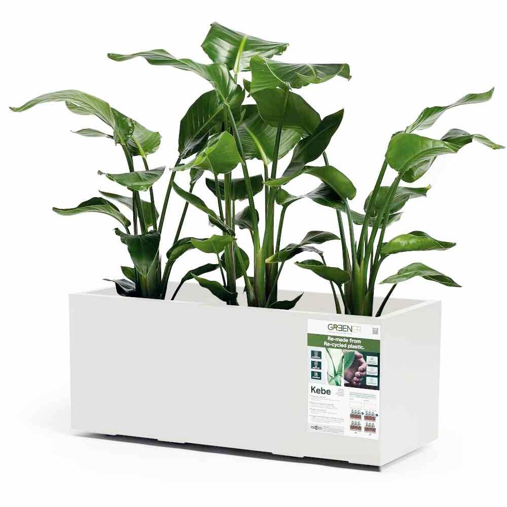 Euro3plast Greener KEBE 3154.03Pflanzkasten Kunststoff Weiß