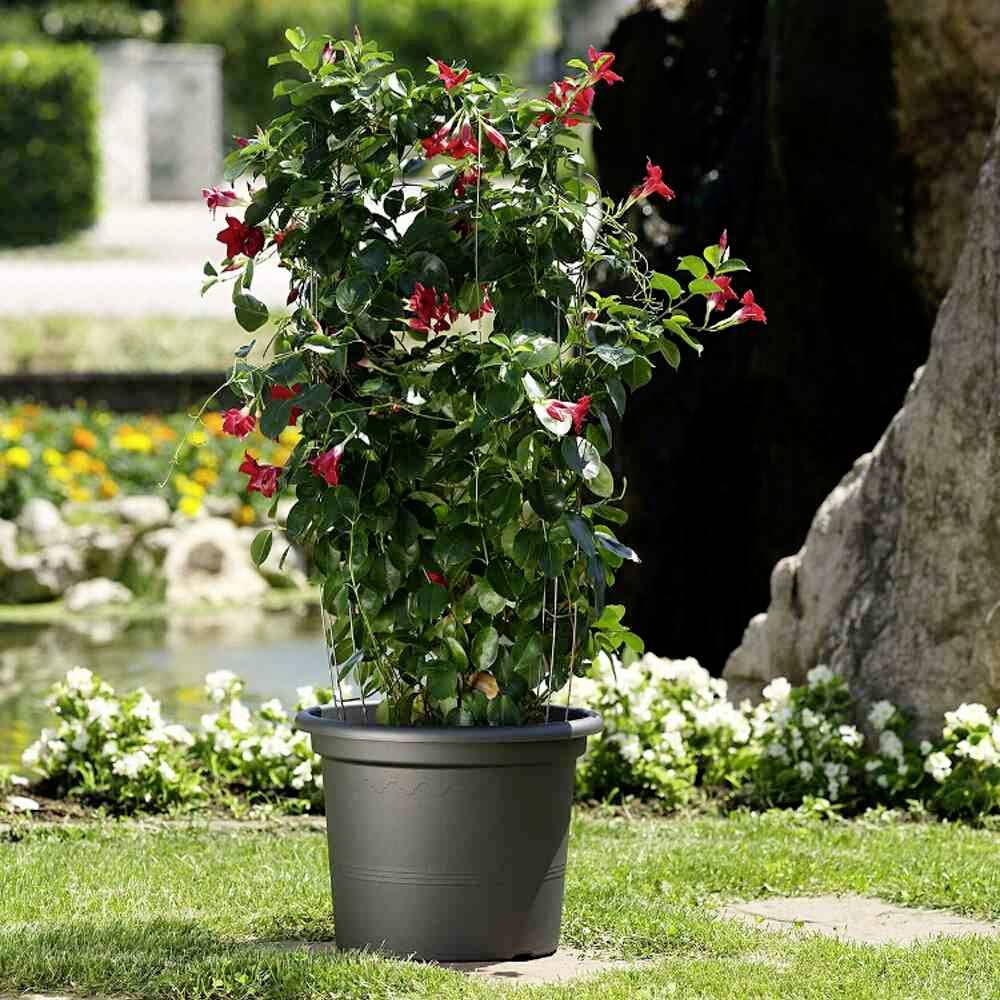 Euro3plast Geo 2058.62Pflanzgefäß Kunststoff Anthrazit