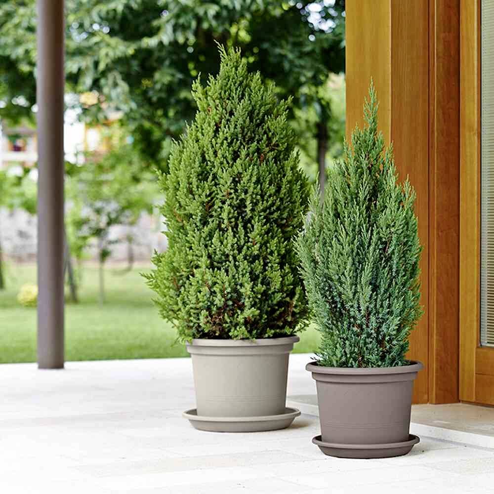 Euro3plast Geo 2058.G9Pflanzgefäß Kunststoff Taupe