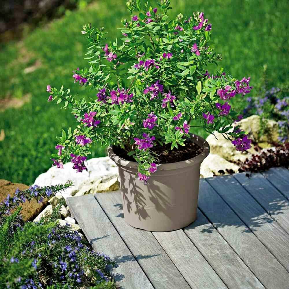 Euro3plast Geo 2058.G9Pflanzgefäß Kunststoff Taupe