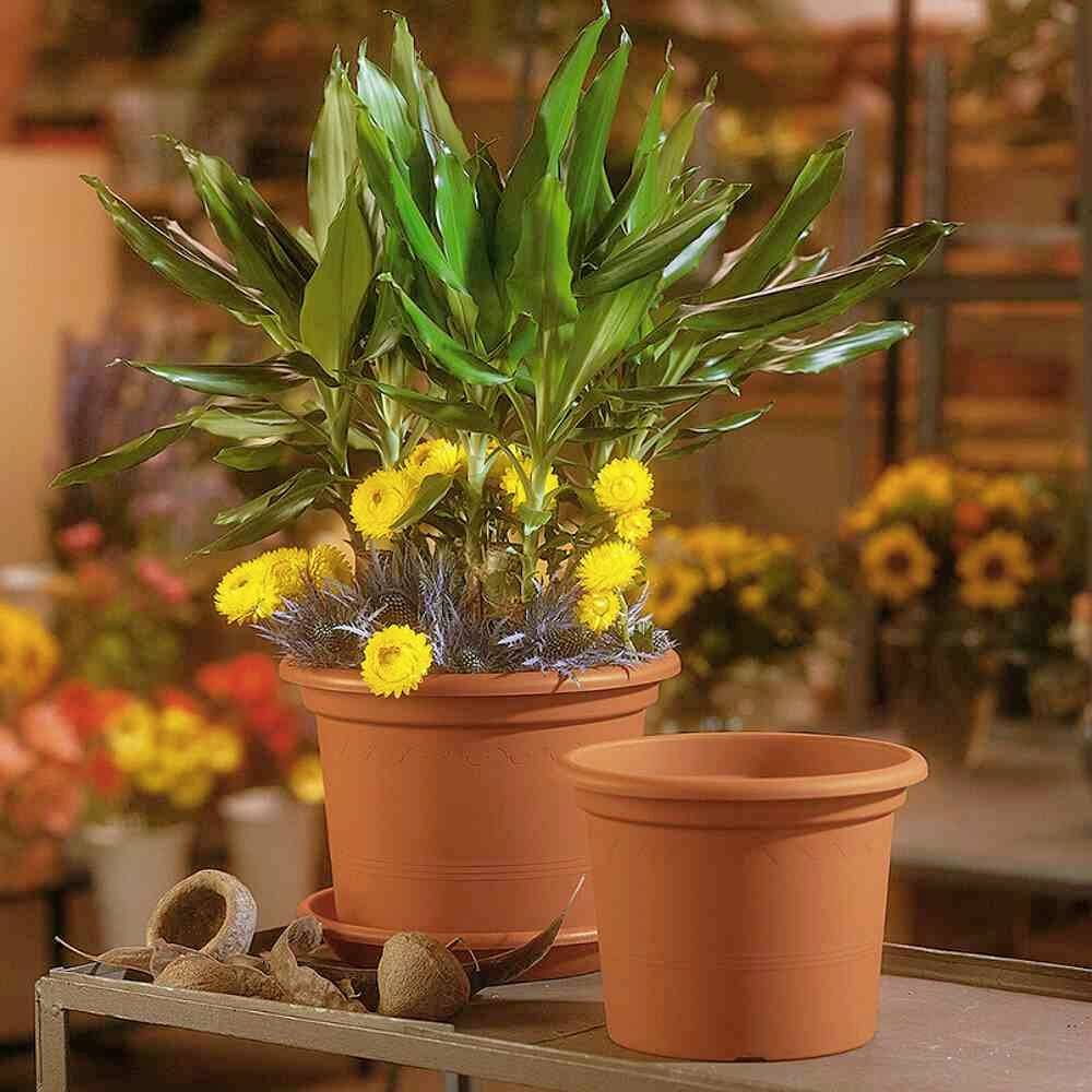 Euro3plast Geo 2058.01Pflanzgefäß Kunststoff Terracotta
