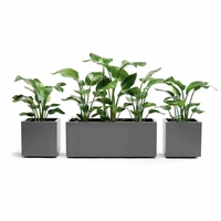 Euro3plast Greener KEBE 3157.62Pflanzkasten Kunststoff Anthrazit Euro3plast Greener KEBE 3157.62Pflanzkasten Kunststoff Anthrazit