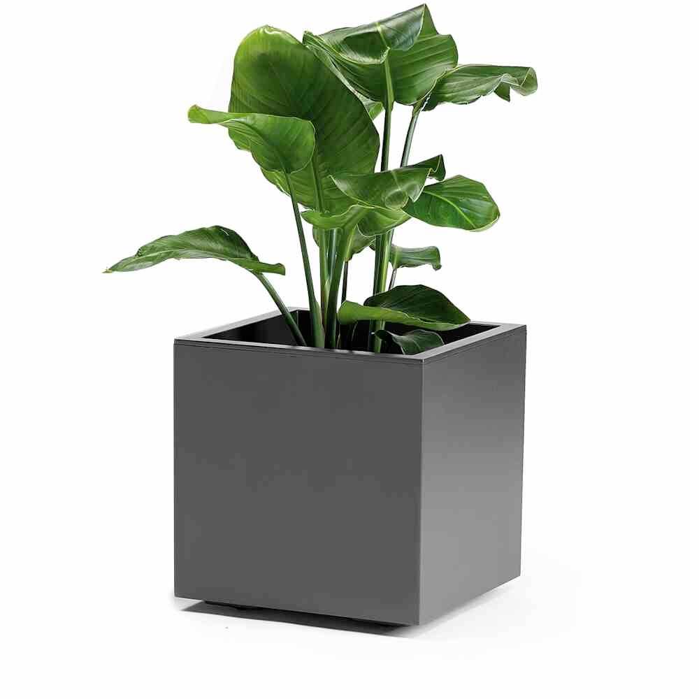 Euro3plast Greener KEBE 3157.62Pflanzkasten Kunststoff Anthrazit