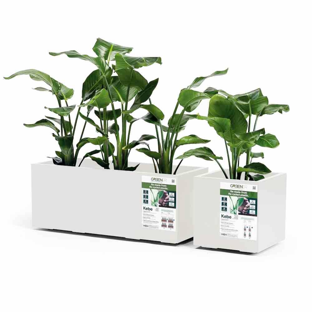Euro3plast Greener KEBE 3157.03Pflanzkasten Kunststoff Weiß