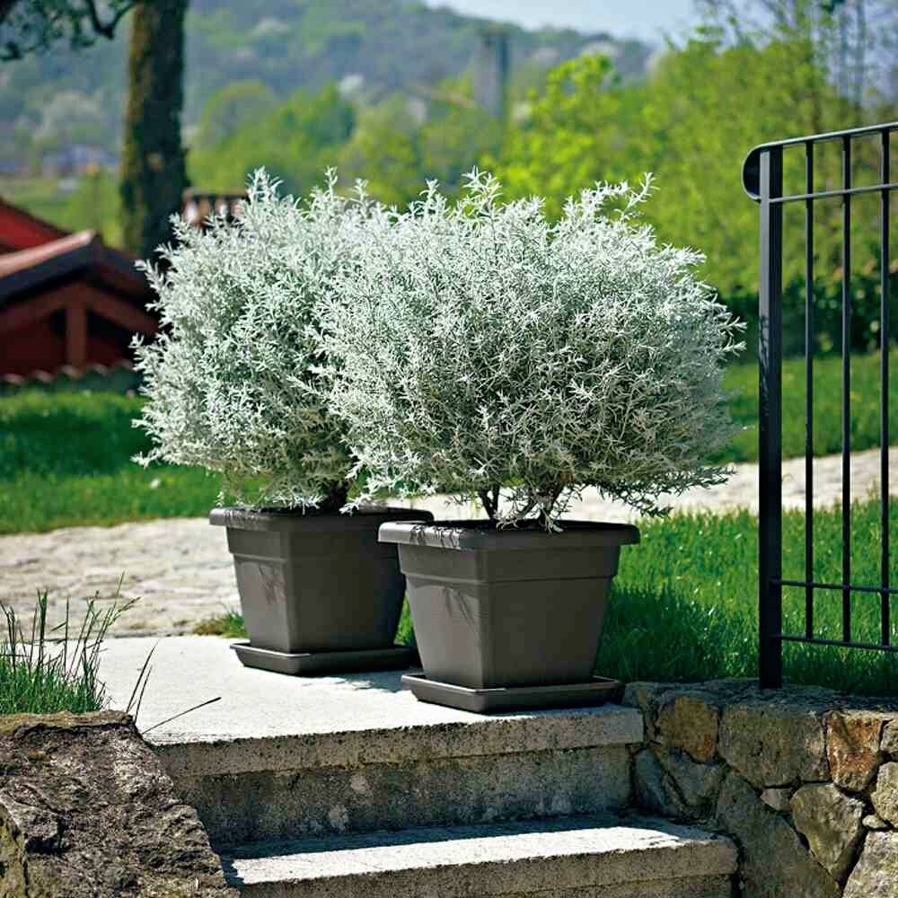 Euro3plast Krea 1706.62Pflanzgefäß Kunststoff Anthrazit