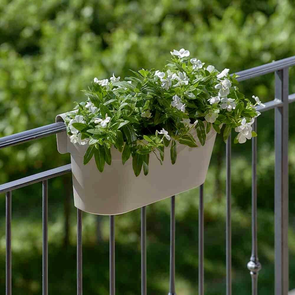 Euro3plast Cassetta Up 3059.G9Pflanzkasten Kunststoff Taupe