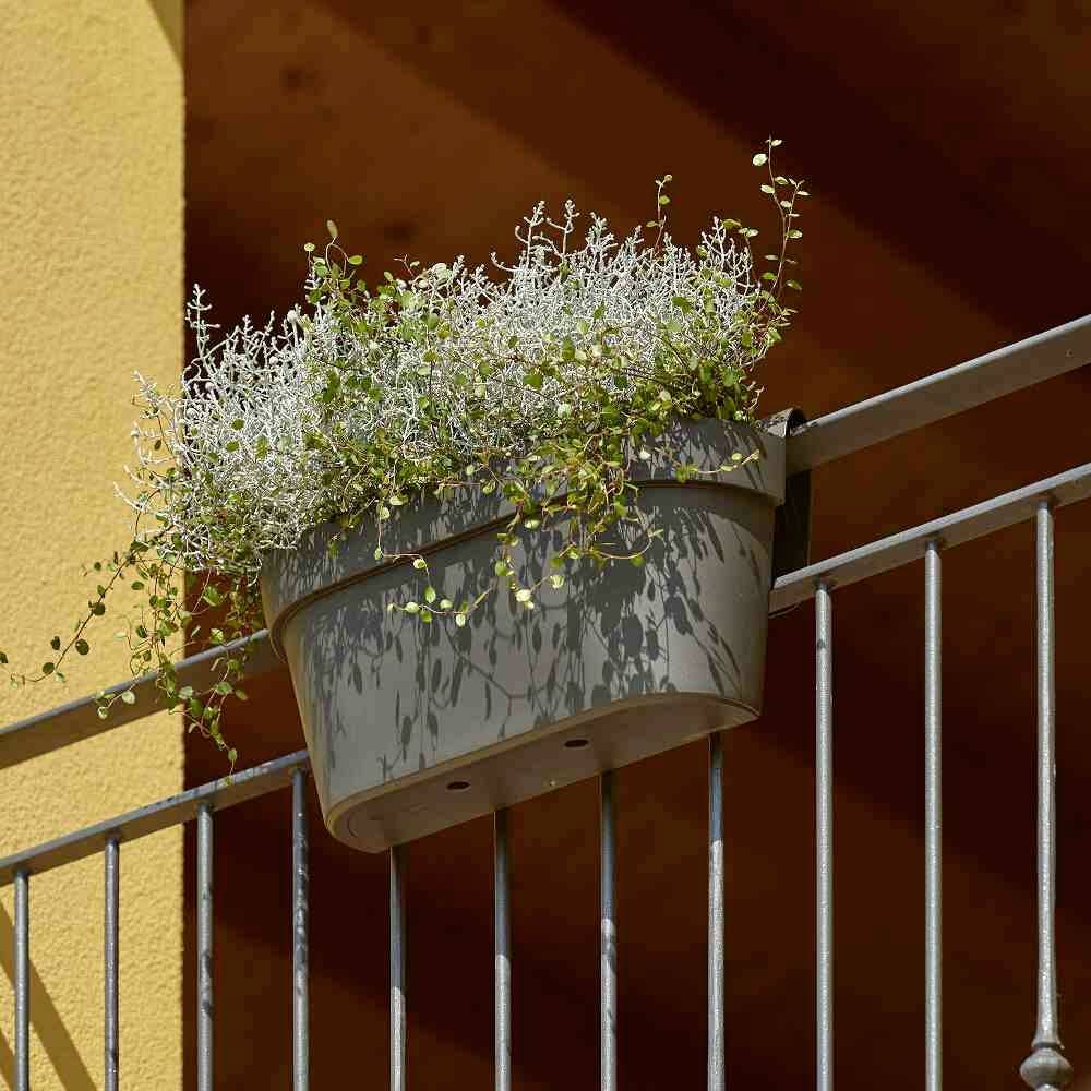 Euro3plast Cassetta Up 3059.62Pflanzkasten Kunststoff Anthrazit