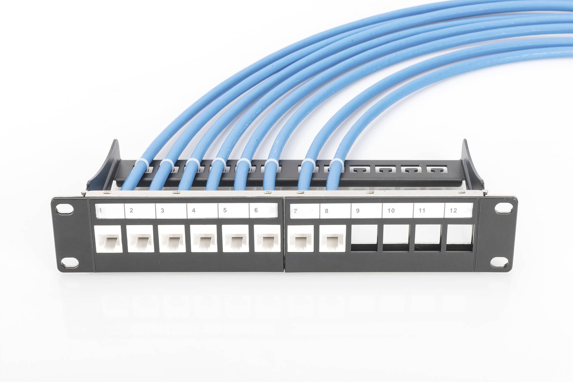 Ein Patchpanel mit zwölf Ports, ans dem acht blaue Netzwerkkabel angeschlossen sind, zeigt die Anordnung und Organisation von Kabelverbindungen.