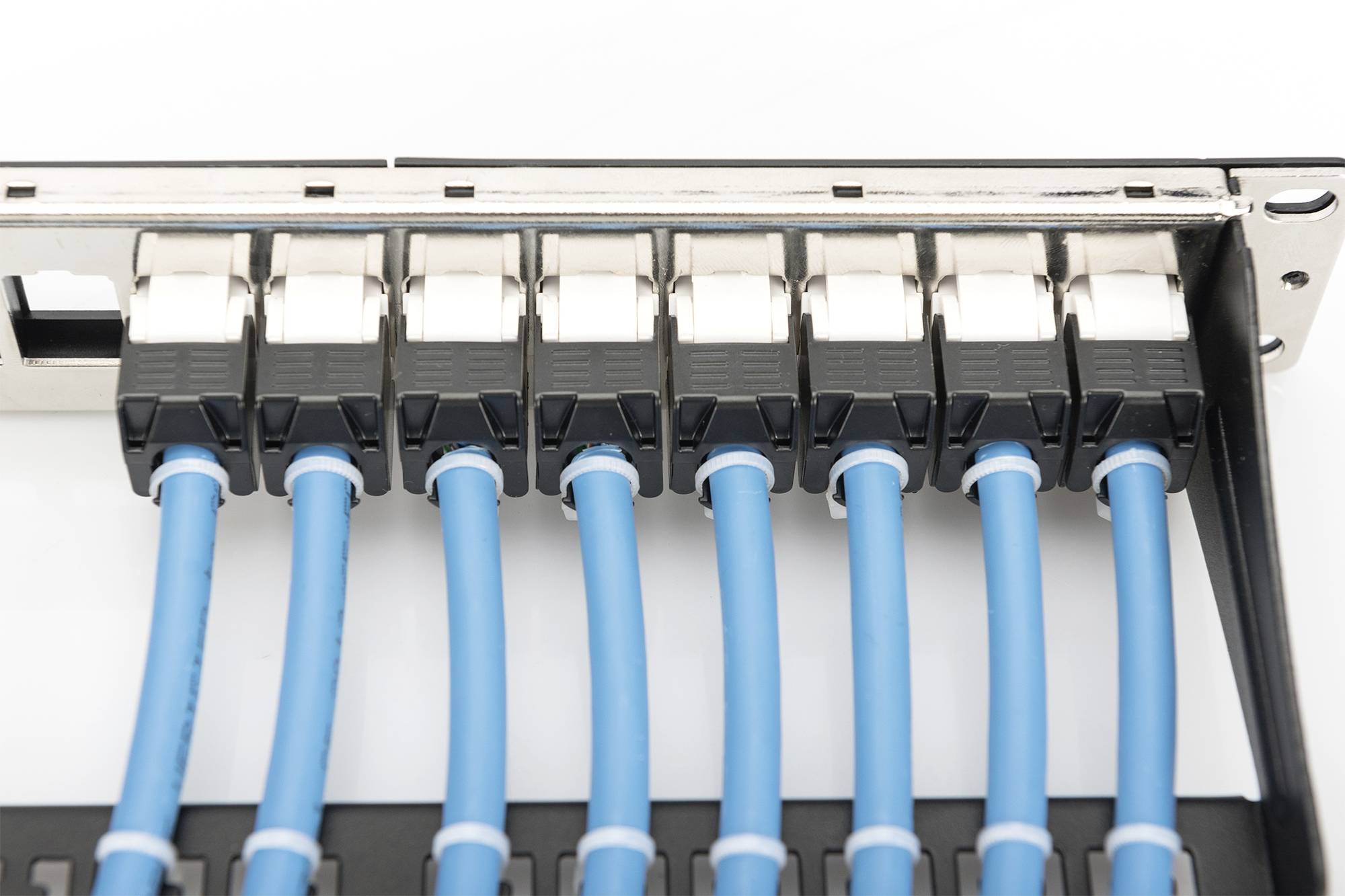 Ein Netzwerk-Patchpanel mit acht angeschlossenen blauen Ethernet-Kabeln.