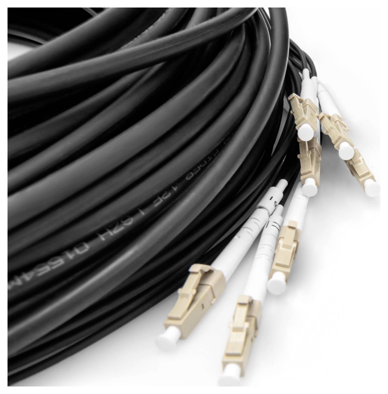 Digitus DK-24338U050BK-BBB Glasfaser LWL Anschlusskabel 50m Schwarz [8x LC/UPC-Stecker - 8x LC/UPC-Stecker] 50/125 µ Multimode OM4